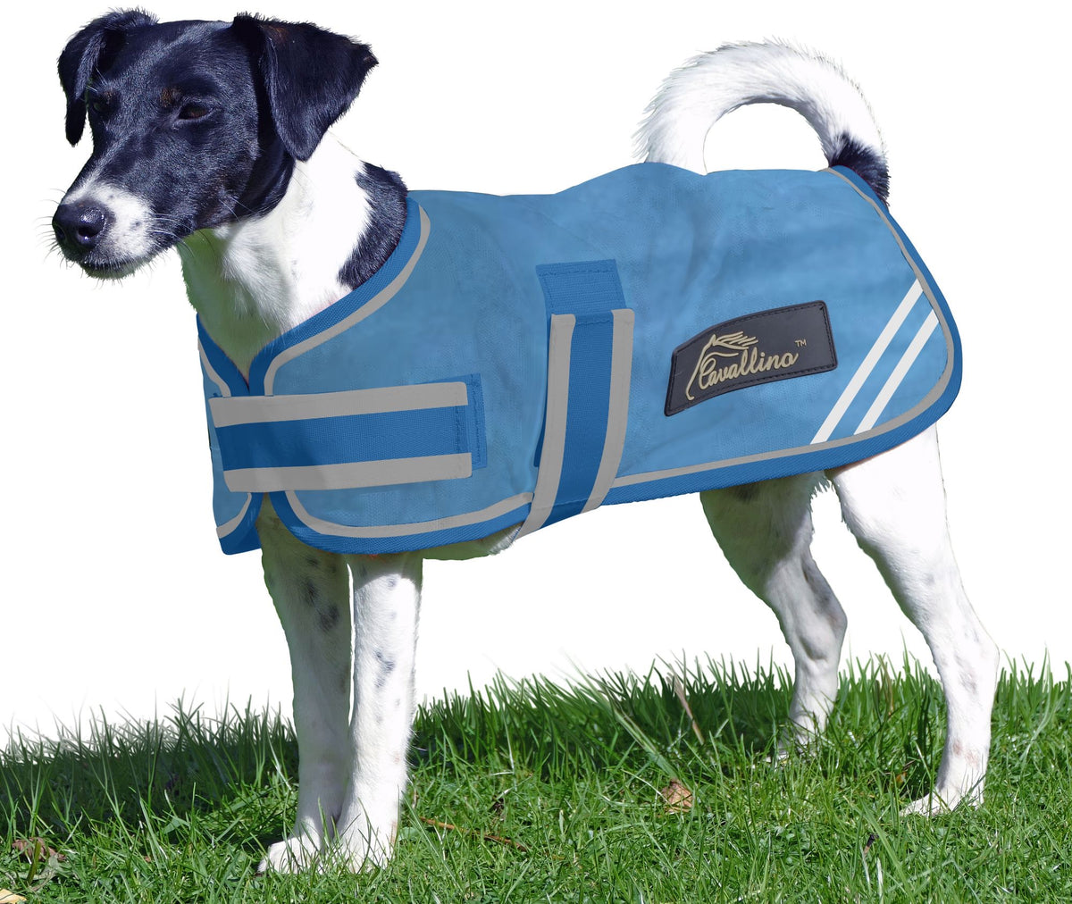 Amigo dog outlet coat