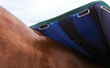 Weatherbeeta Comfitec Plus Dynamic Turnout Standard Neck Rug (100g)