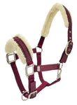 Dazzle Equestrian Halter