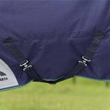 Weatherbeeta Comfitec Plus Dynamic Turnout Standard Neck Rug (100g)