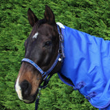 Pessoa Padded Halter