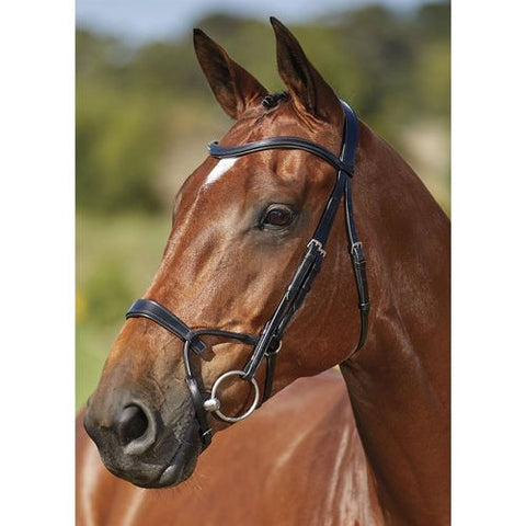 Collegiate Comfitec Training Bridle