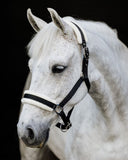 Flair Plush Fleece Halter