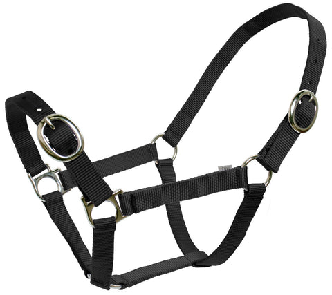 Flair Classic Web Halter