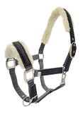 Dazzle Equestrian Halter