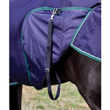 Weatherbeeta Comfitec Plus Dynamic Turnout Standard Neck Rug (100g)