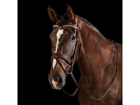 Collegiate V Shaped Diamanté Bridle