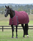 Weatherbeeta Comfitec Essential Standard Neck Turnout Rug (No Fill)