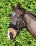 Cavallino Deluxe Padded Halter & Lead Set