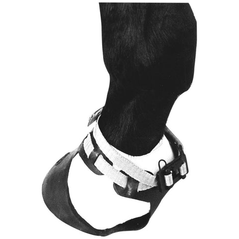 Horse Shoof - A Shoe for a Hoof
