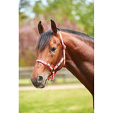 Roma Stripe Head Collar