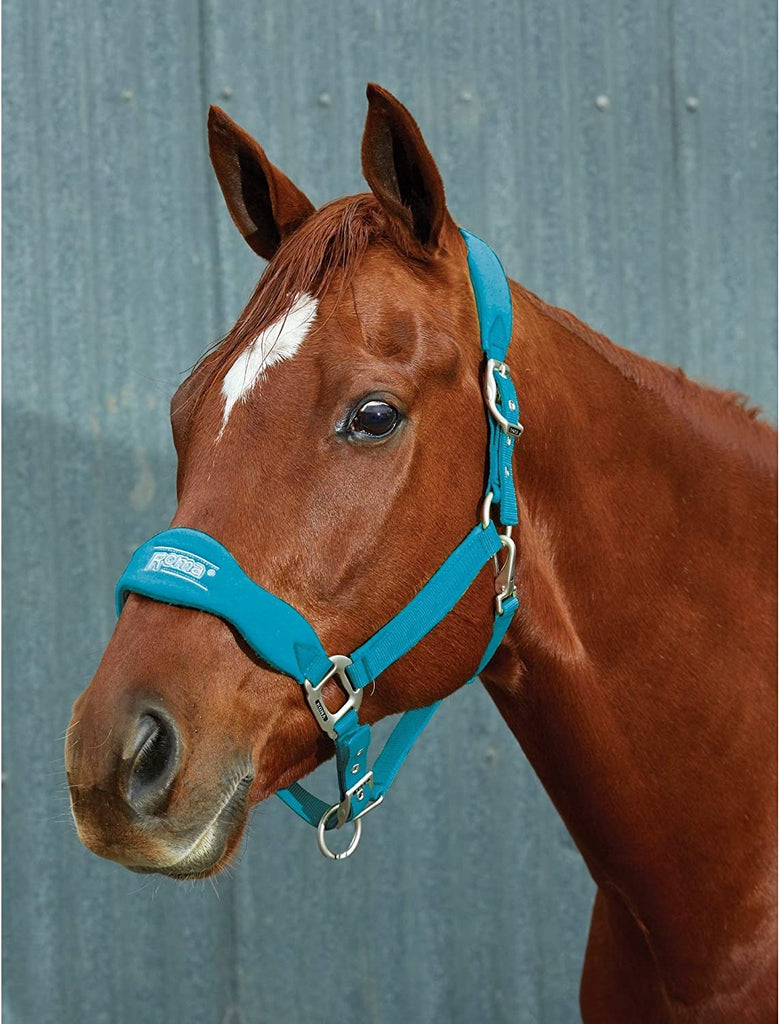 Roma Shaped Fleece Head Collar II