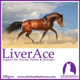 Calm Healthy Horses Liverace