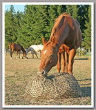 Calm Healthy Horses Hay Saver