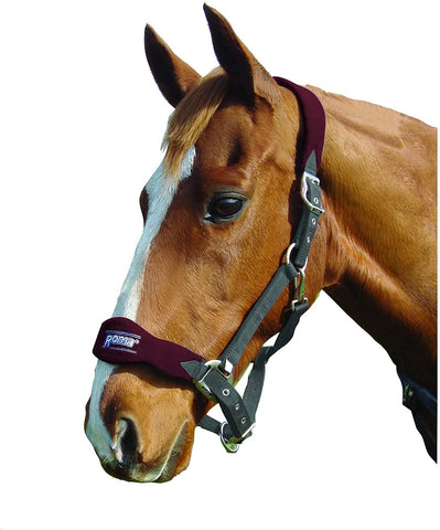 Roma  Shaped Fleece Head Collar II