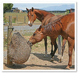 Calm Healthy Horses Hay Saver