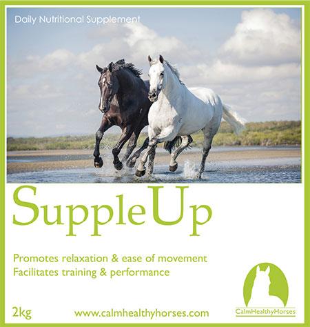 Calm Healthy Horses Supple Up